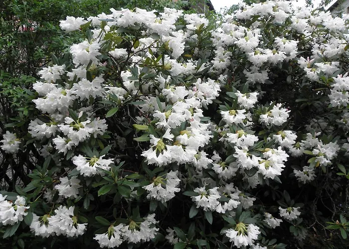 Holiday home Dom Dawniej